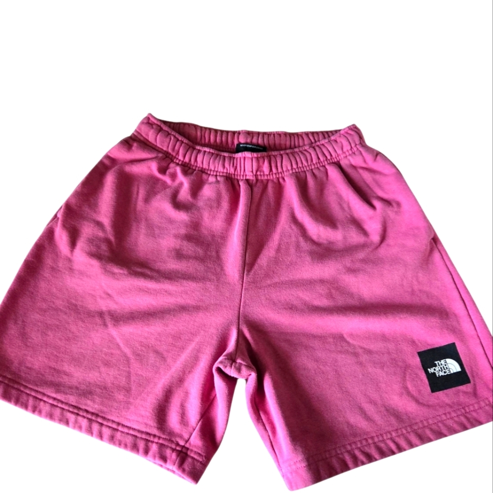The North Face Never Stop Mens Shorts